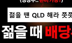 Featured image of post QLD는 15년에 72억, SCHD는 6.5억: 그런데 왜 배당주를 선택했나