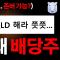 QLD는 15년에 72억, SCHD는 6.5억: 그런데 왜 배당주를 선택했나
