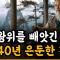 왕위를 빼앗기고 40년간 사라진 황제: 건문제와 영락제의 40년 수색전