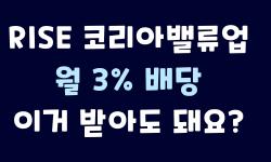 Featured image of post 월 3%·연 36% 폭력적 월배당의 진짜 이유 | RISE 코리아밸류업 위클리 고정 커버드콜