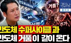 Featured image of post AI 주가는 거품이어도 실적은 진짜다: 실물 경제와 자본 시장을 분리해 읽는 법