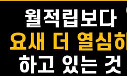 Featured image of post 월정립 87번째 매수 기록: 순정 ETF와 커버드콜의 선택 기준, 그리고 달러 확보 전략