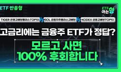 Featured image of post 금융주 고배당 ETF 셋 비교: TIGER·SOL·KODEX, 은행 비중으로 고른다