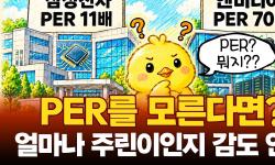 Featured image of post PER은 원금 회수에 걸리는 시간이다: 낮다고 싸고, 높다고 무조건 비싸지 않다